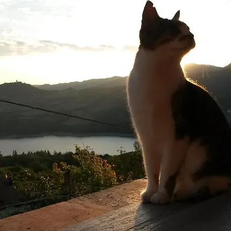 Borgo Massovrana Oda ve Kahvaltı Castel di Casio