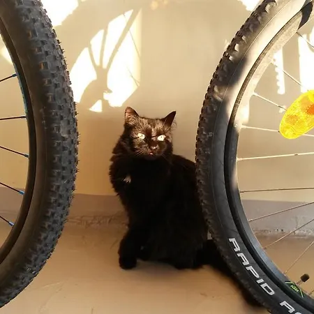 Borgo Massovrana Bed & Breakfast Castel di Casio