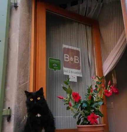 Borgo Massovrana Bed & Breakfast *