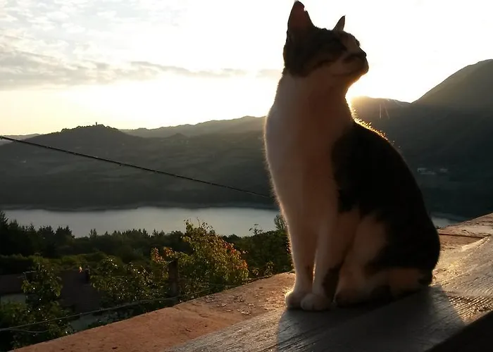 Borgo Massovrana Bed and Breakfast Castel di Casio