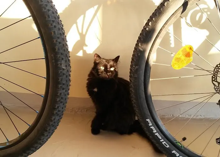 Borgo Massovrana ベッド・アンド・ブレックファスト Castel di Casio